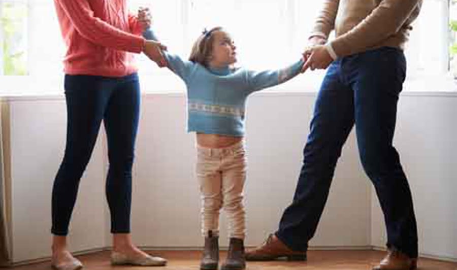 child custody, Parenting Plan checklist